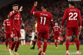 阿斯顿维拉训练开放日；转会期迎来里程碑引欢呼；葡超在即；细节决定成败的简单介绍-九游娱乐游戏